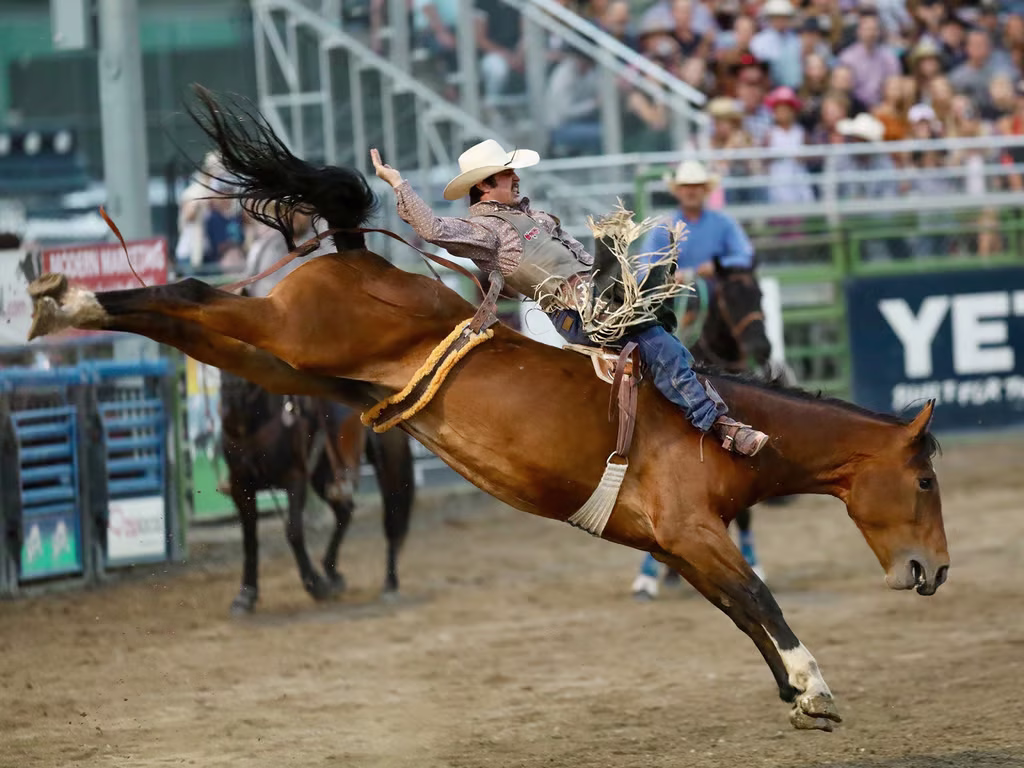 Rodeo in Jackson Hole, WY, with a rider in action. Experience summer culture with Membru and find local promotions.