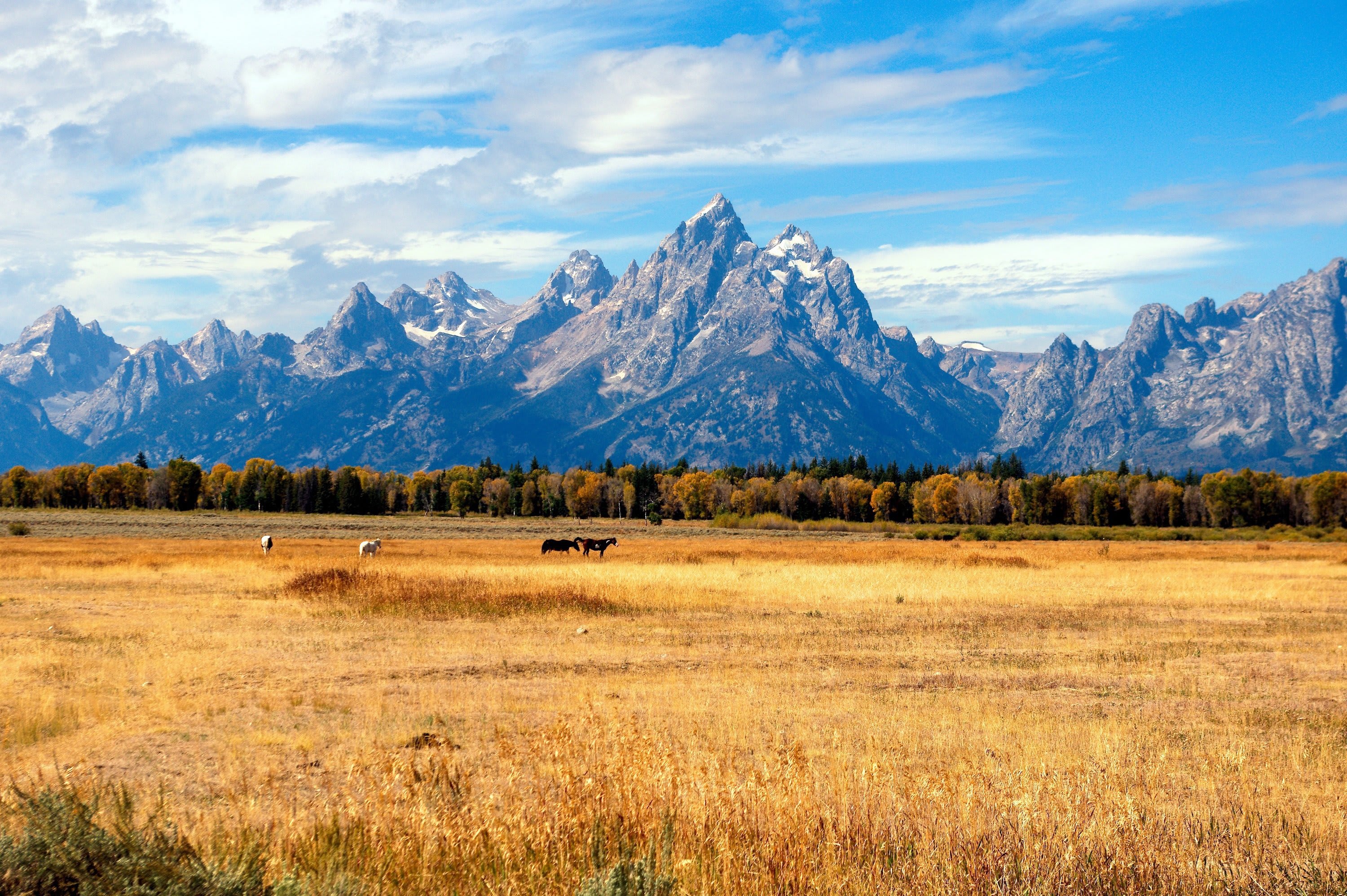 Grand Teton mountains landscape